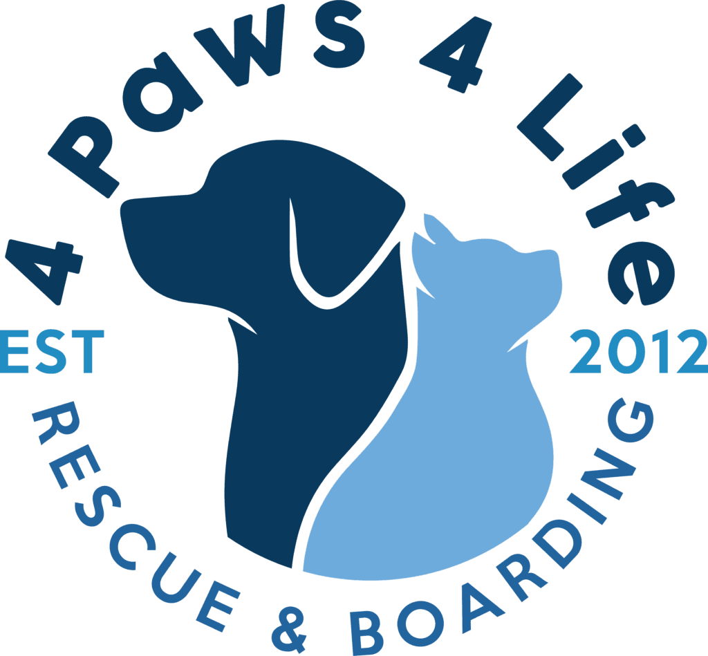 Animal Rescue & Boarding Center | Saving Lives, Paws at a Time