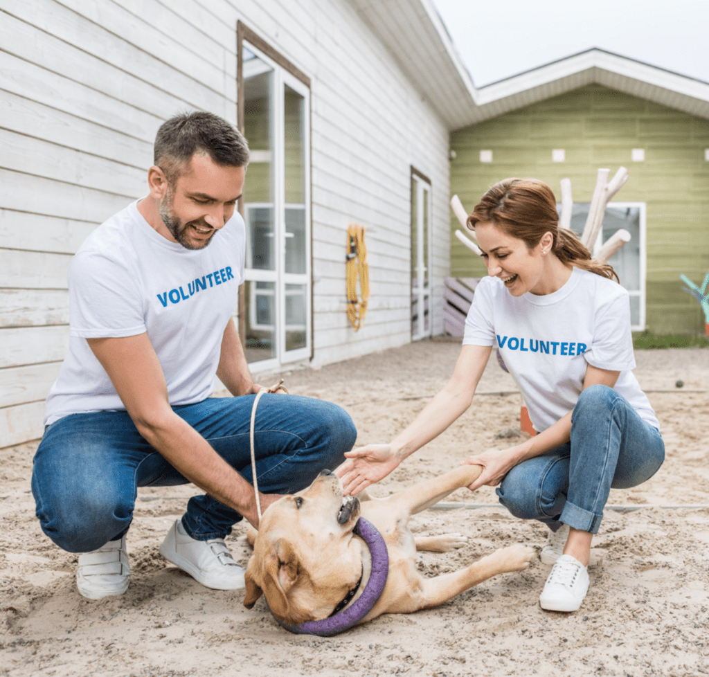 Two dedicated volunteers at 4 Paws 4 Life animal rescue & boarding playing with and giving a belly rub to an adorable dog.